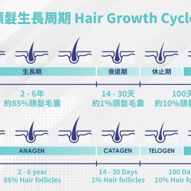 hair-grownth-cycle